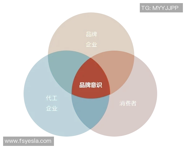 五年纵览篮球八卦数据演变全景揭秘全面升级与进化趋势
