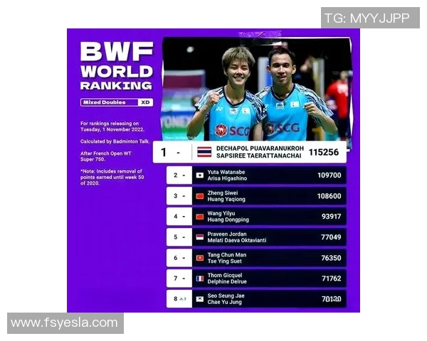 羽毛球顶级赛事回顾与未来展望